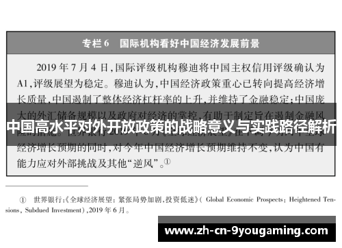 中国高水平对外开放政策的战略意义与实践路径解析