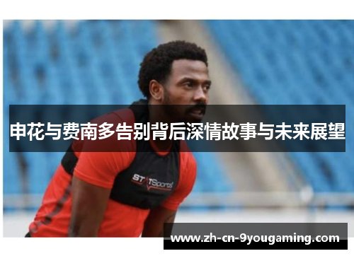 申花与费南多告别背后深情故事与未来展望