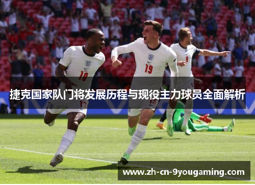 捷克国家队门将发展历程与现役主力球员全面解析