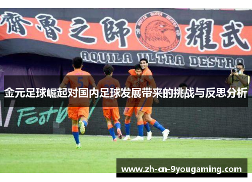 金元足球崛起对国内足球发展带来的挑战与反思分析