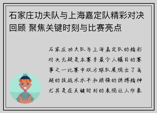 石家庄功夫队与上海嘉定队精彩对决回顾 聚焦关键时刻与比赛亮点