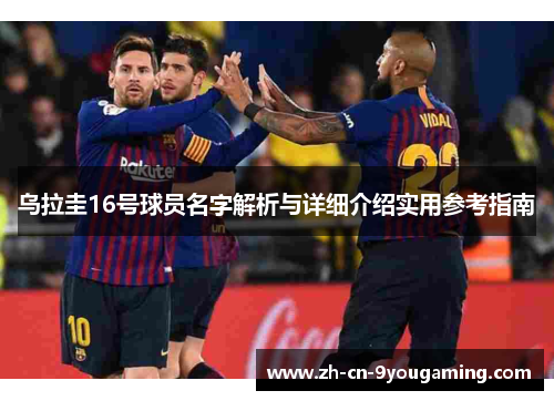 乌拉圭16号球员名字解析与详细介绍实用参考指南