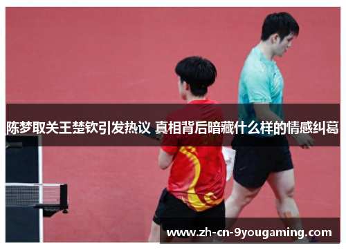 陈梦取关王楚钦引发热议 真相背后暗藏什么样的情感纠葛 陈梦取关王楚钦引发热议 真相背后暗藏什么样的情感纠葛